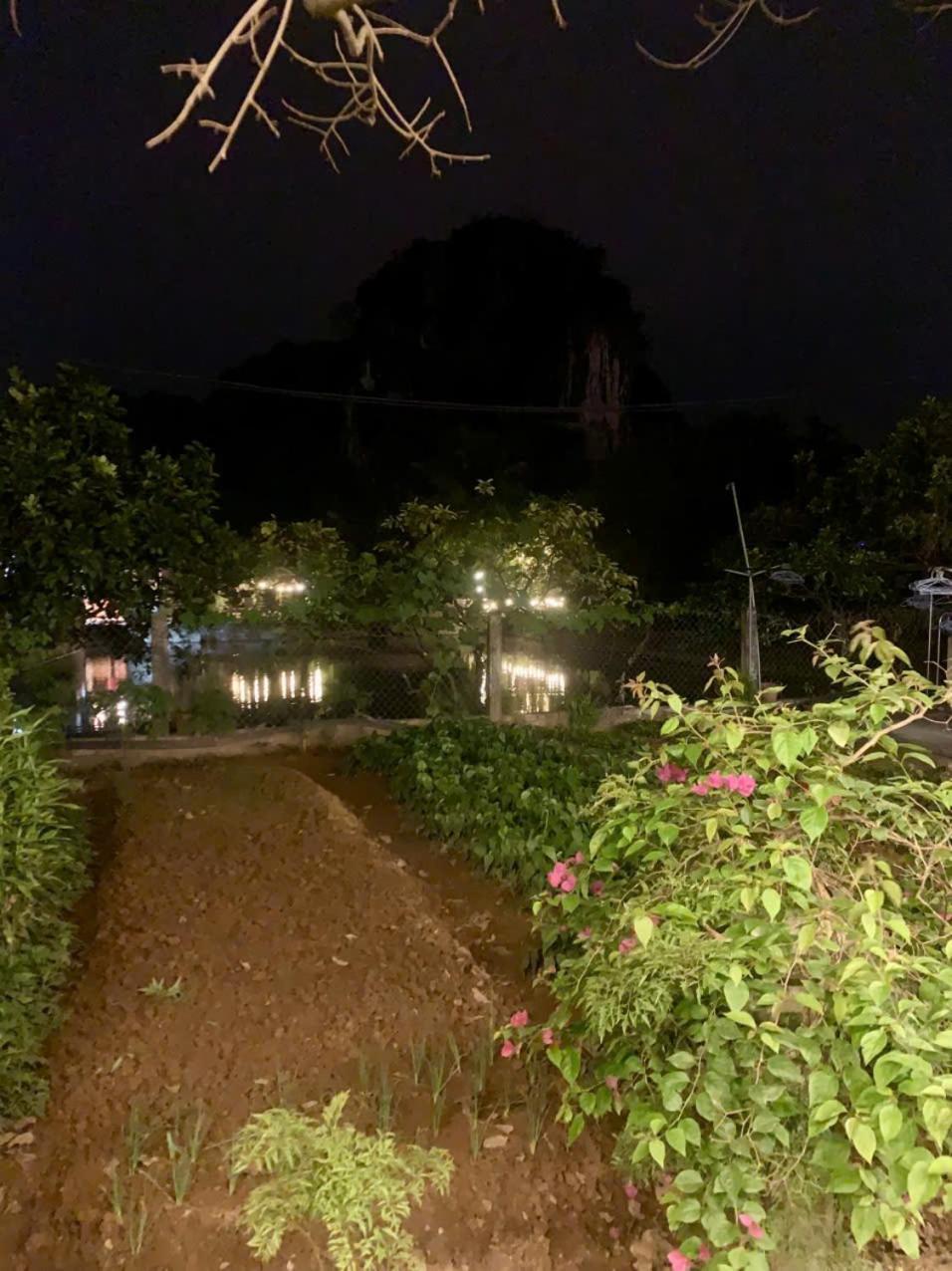 Blue Garden Homestay Ninh Binh Eksteriør bilde
