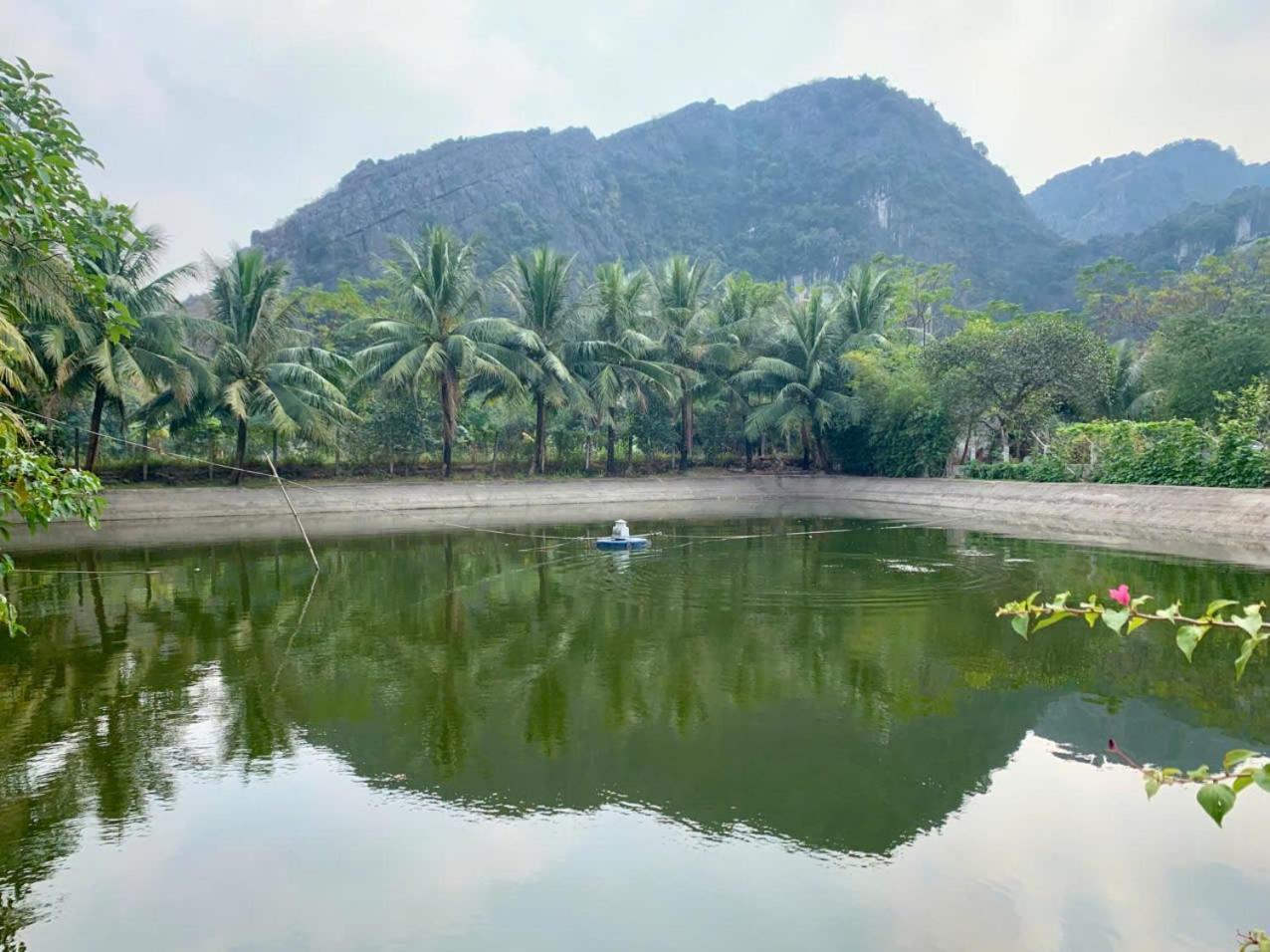Blue Garden Homestay Ninh Binh Eksteriør bilde