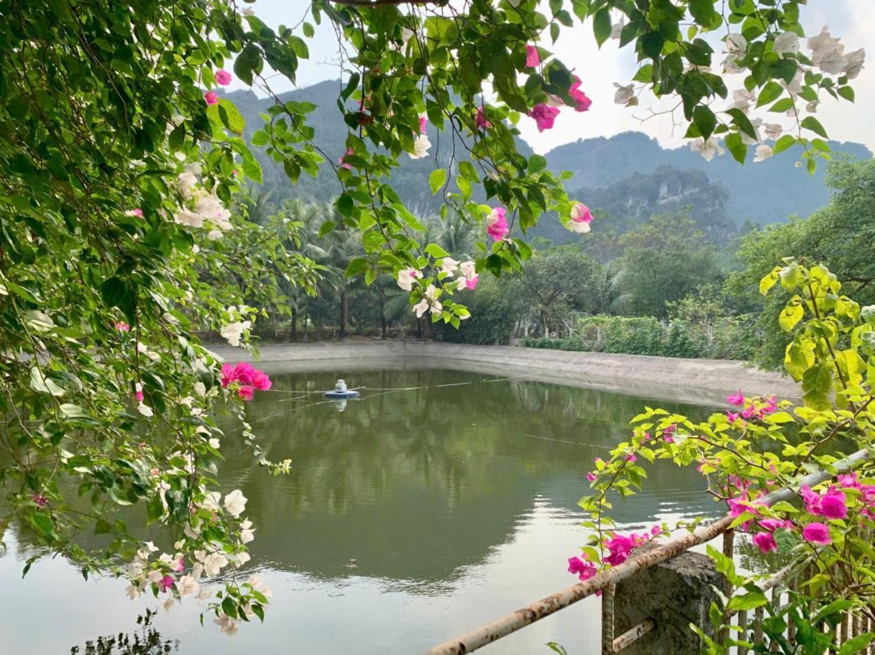 Blue Garden Homestay Ninh Binh Eksteriør bilde