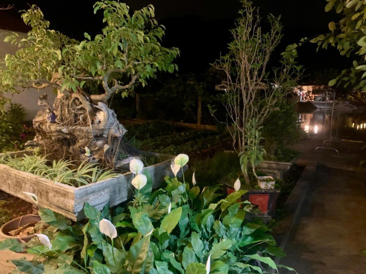 Blue Garden Homestay Ninh Binh Eksteriør bilde