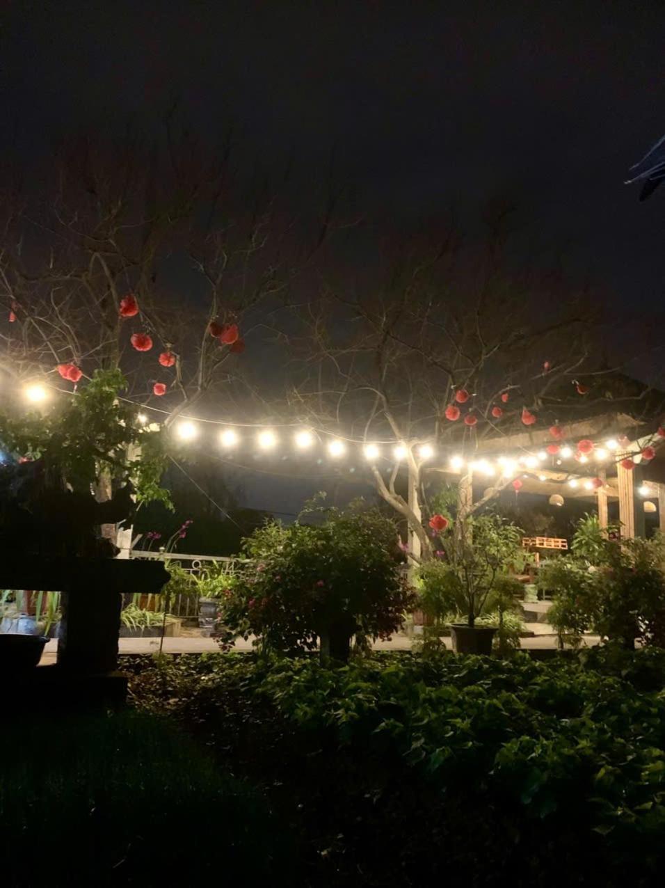 Blue Garden Homestay Ninh Binh Eksteriør bilde