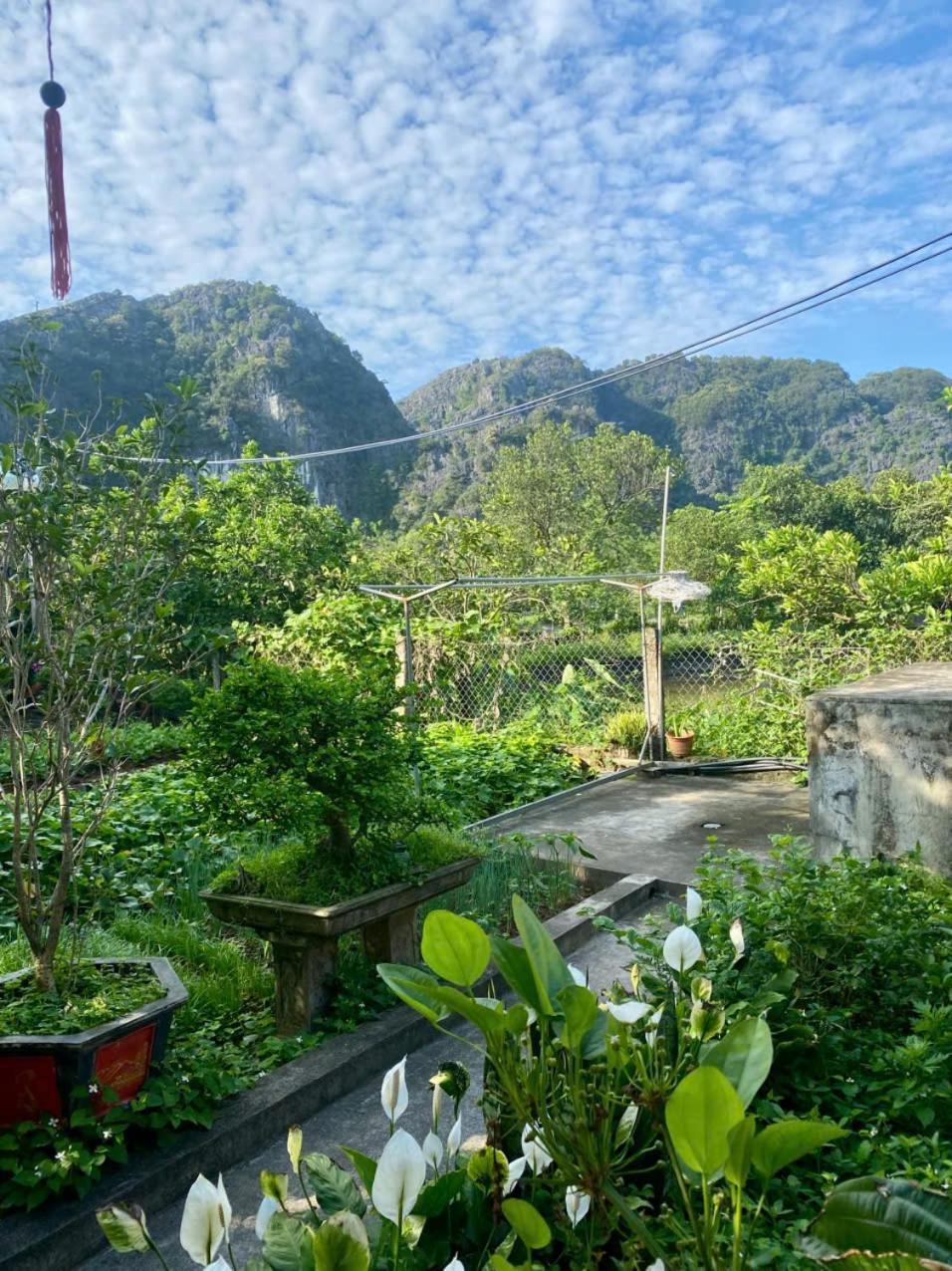Blue Garden Homestay Ninh Binh Eksteriør bilde