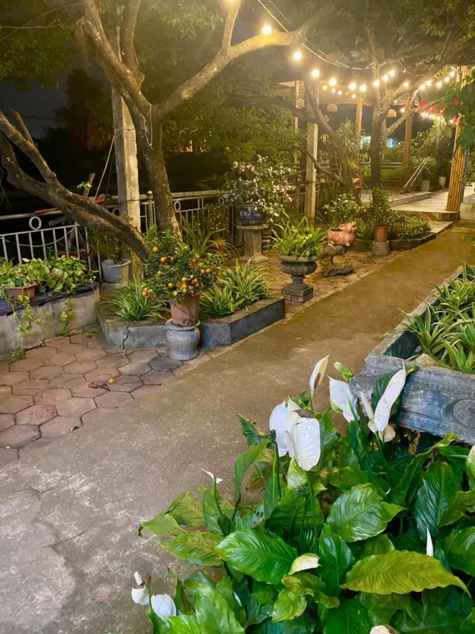Blue Garden Homestay Ninh Binh Eksteriør bilde