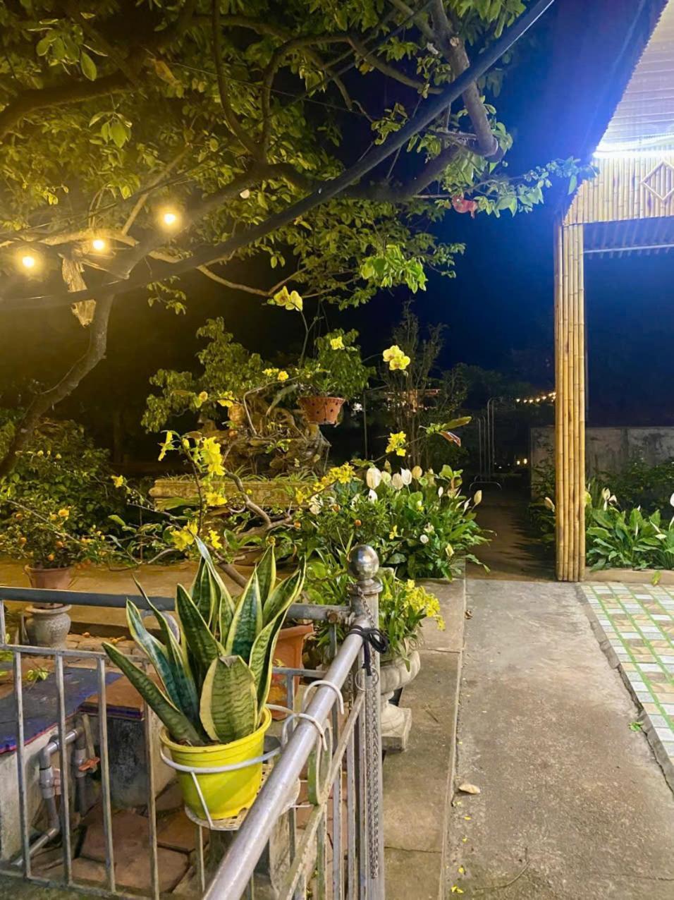Blue Garden Homestay Ninh Binh Eksteriør bilde