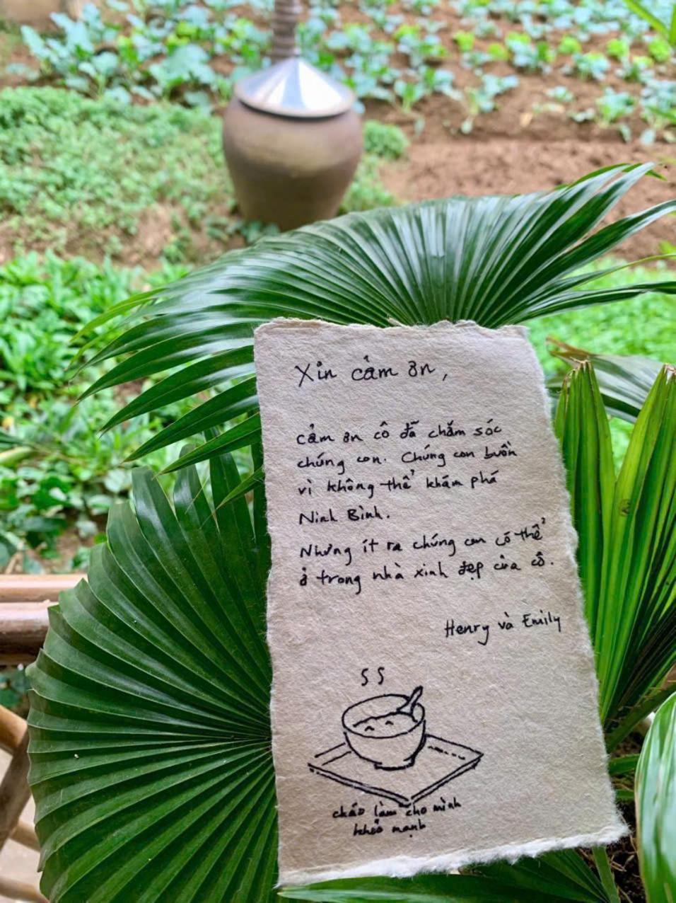 Blue Garden Homestay Ninh Binh Eksteriør bilde