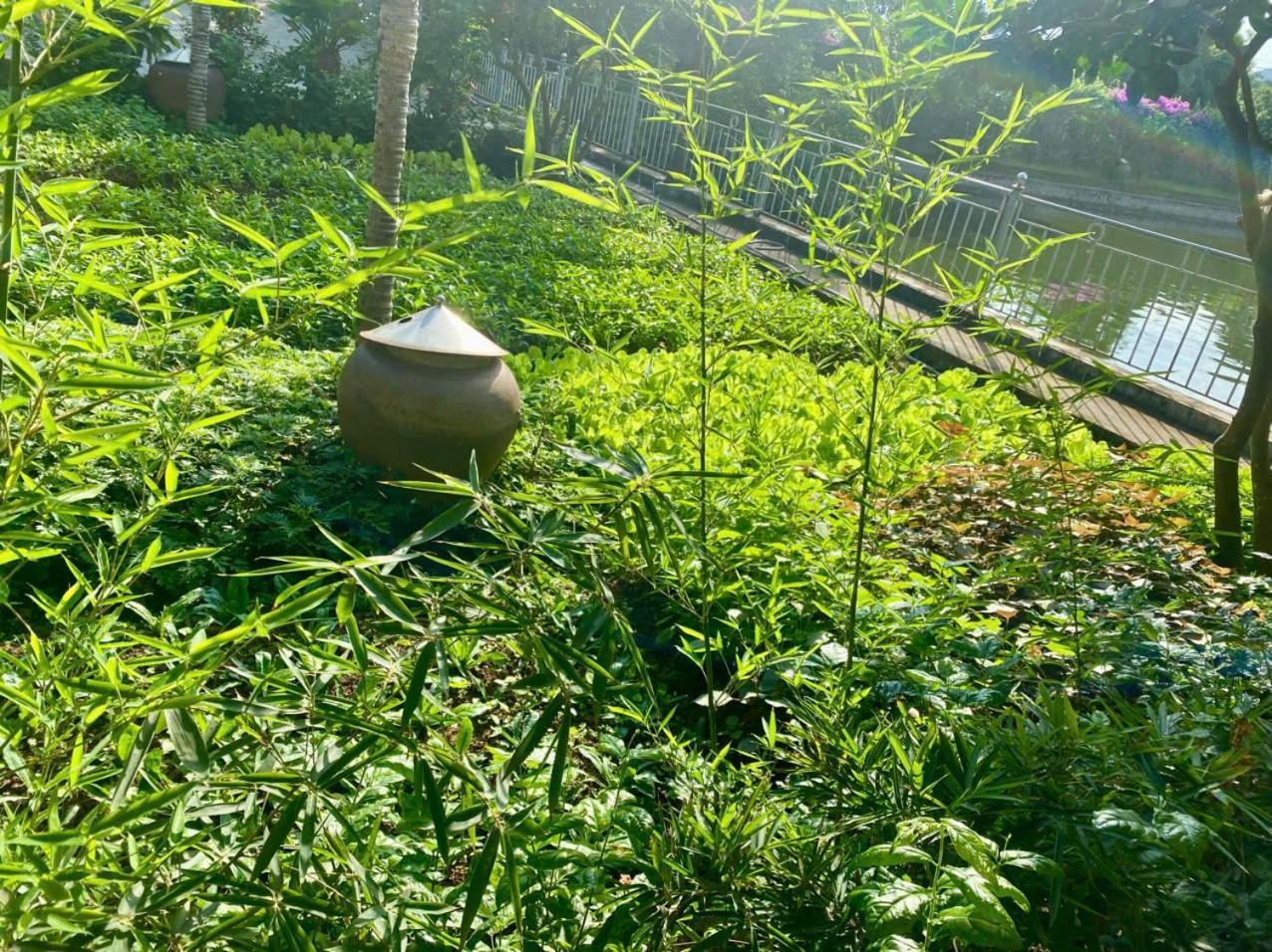 Blue Garden Homestay Ninh Binh Eksteriør bilde